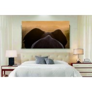 Πίνακας σε καμβά - Άγρια φύση 2